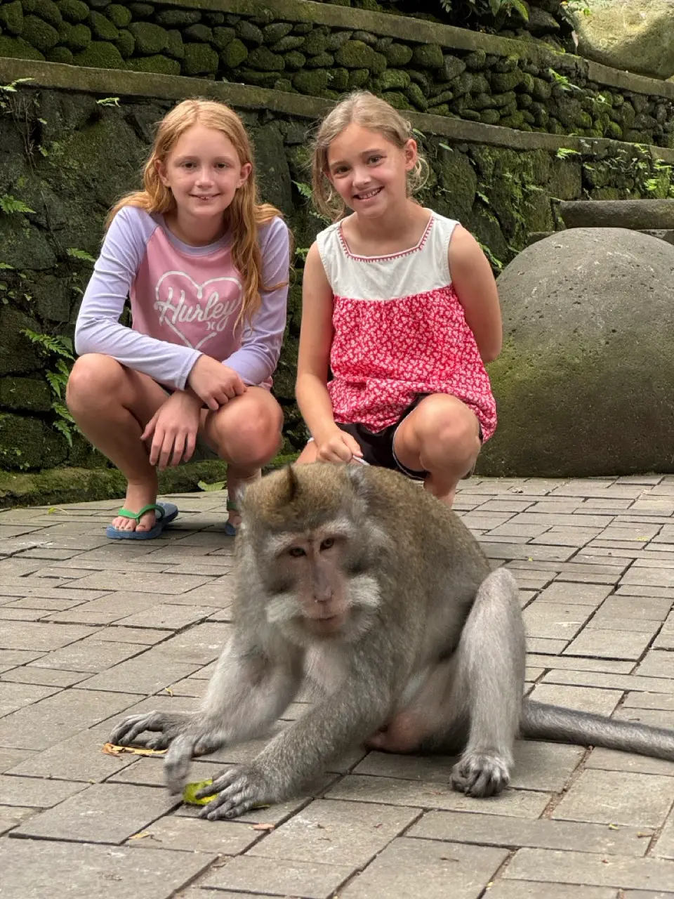 Monkey Forest, Ubud, Bali